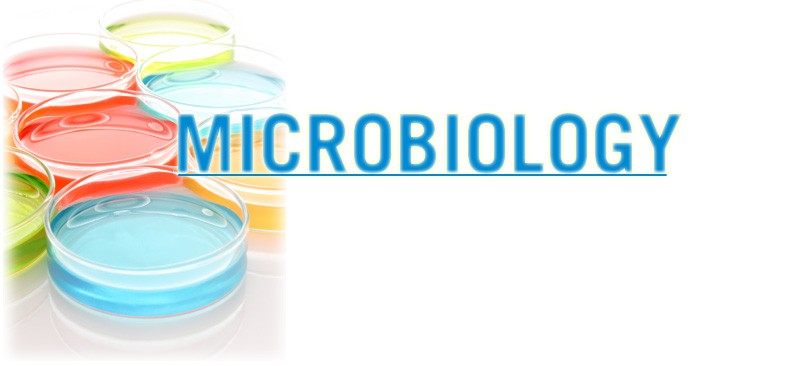 https://www.envirolabsinc.com/wp-content/uploads/2014/01/microbiologyt-e1390710971645.jpg